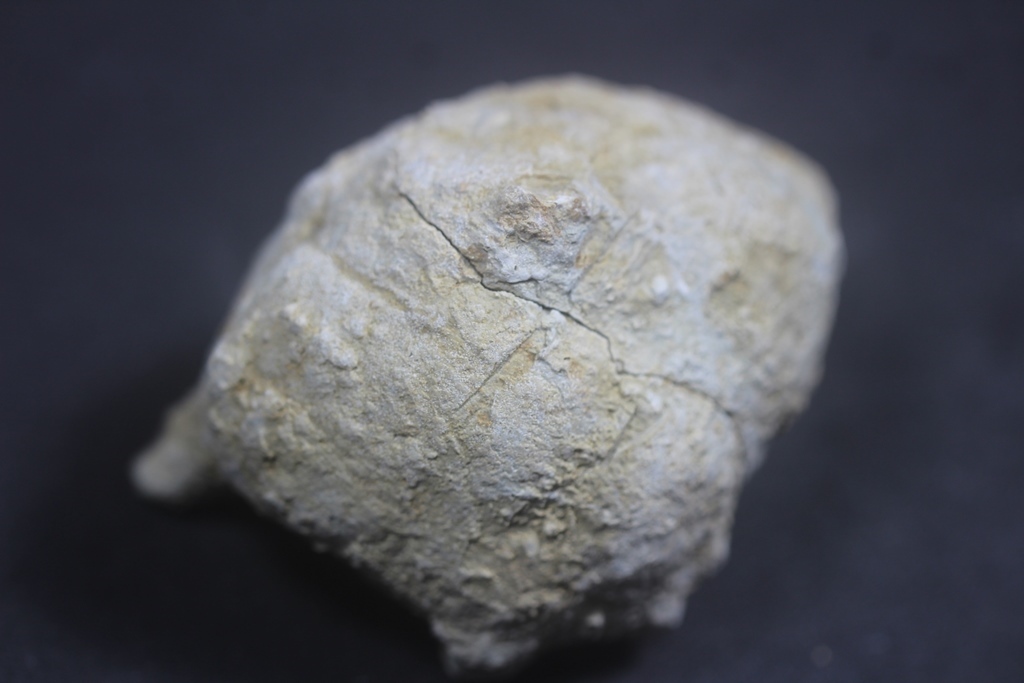 Kutnohorite & Aragonite