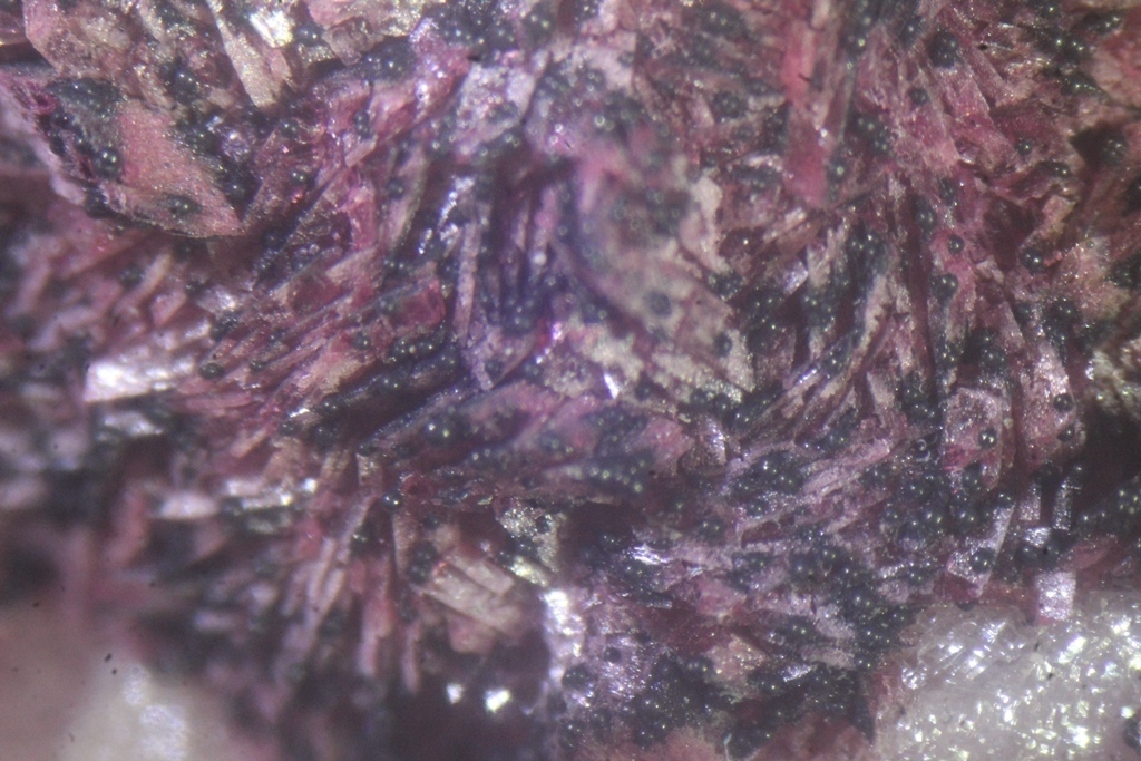 Talmessite Dolomite & Calcite