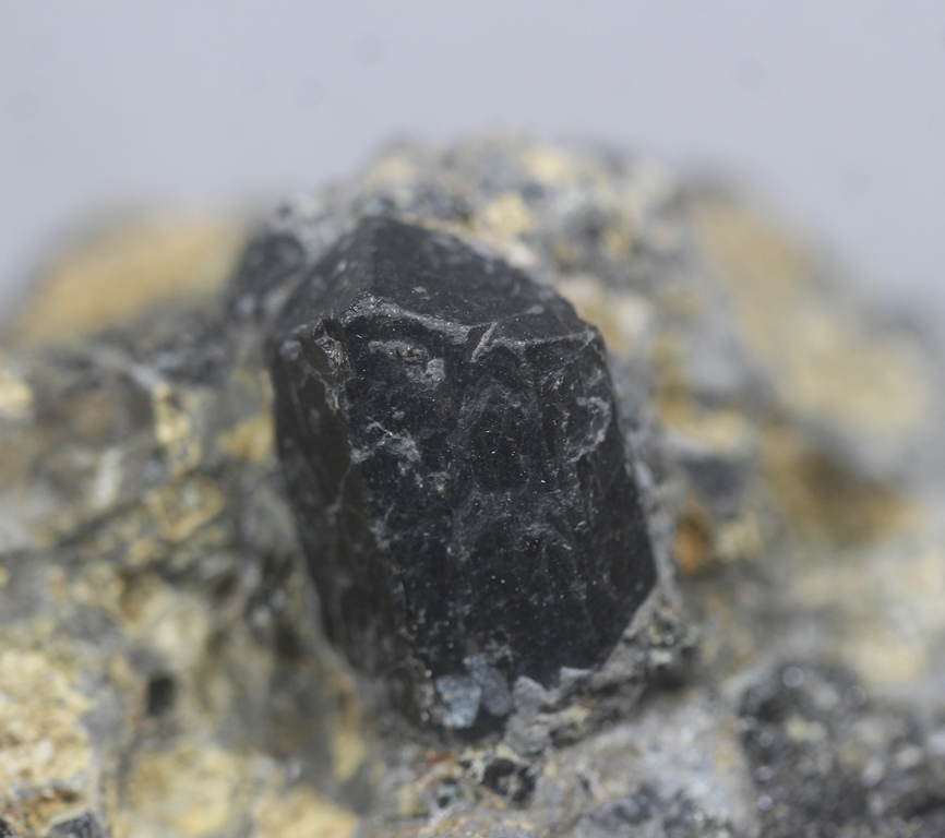 Augite