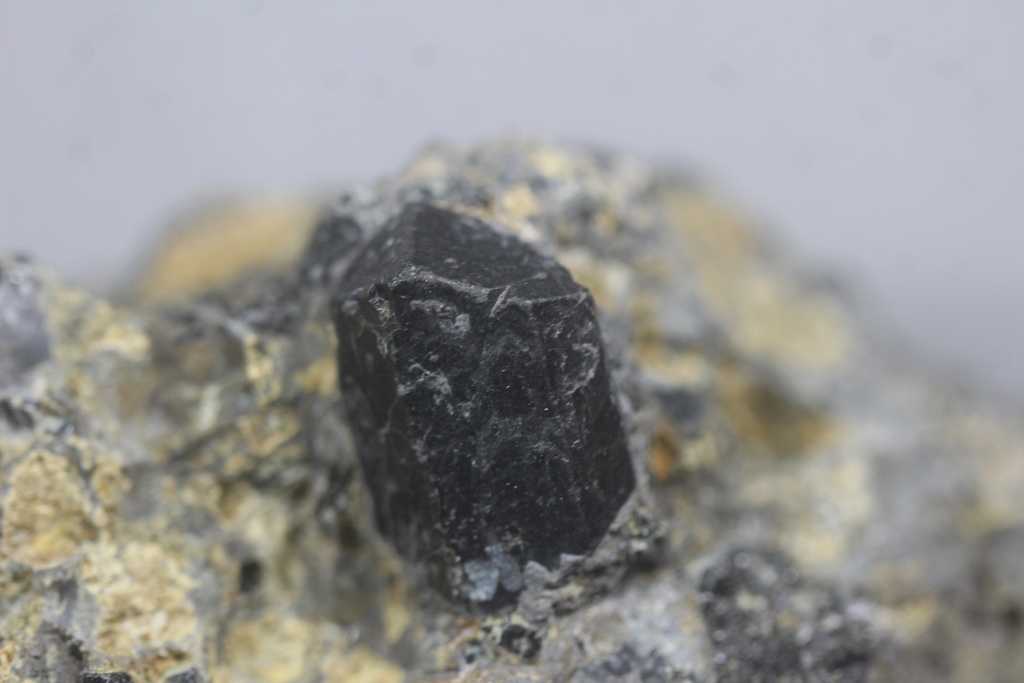 Augite
