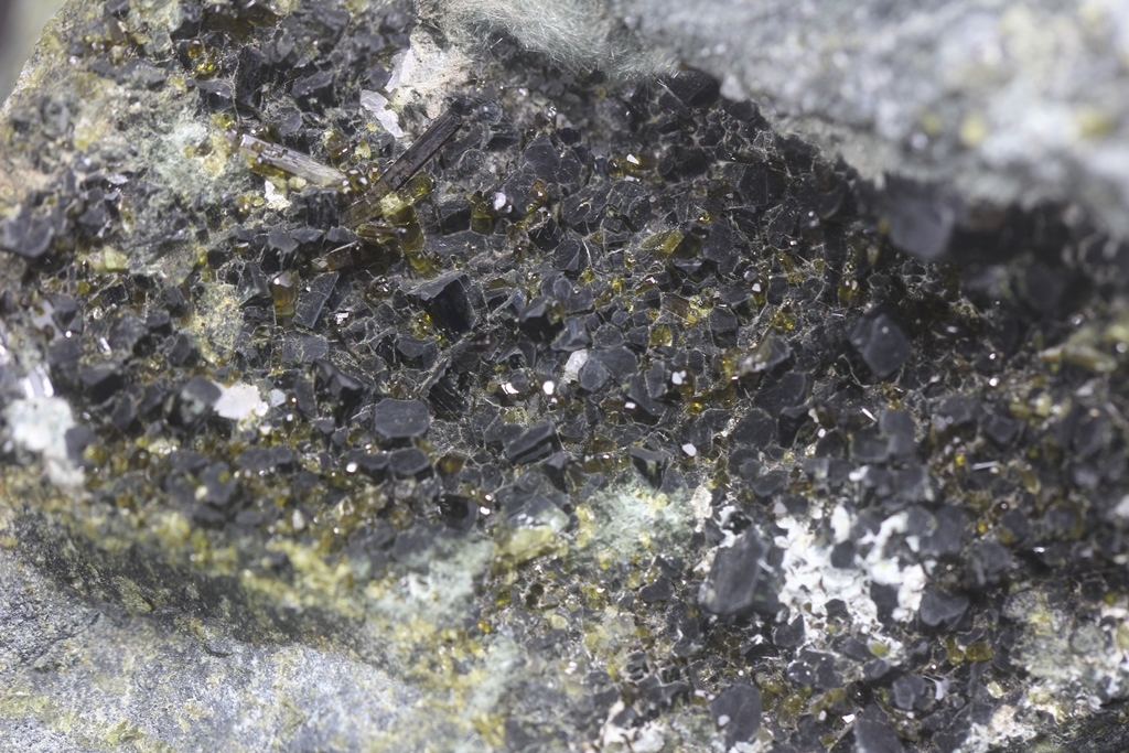 Augite & Epidote