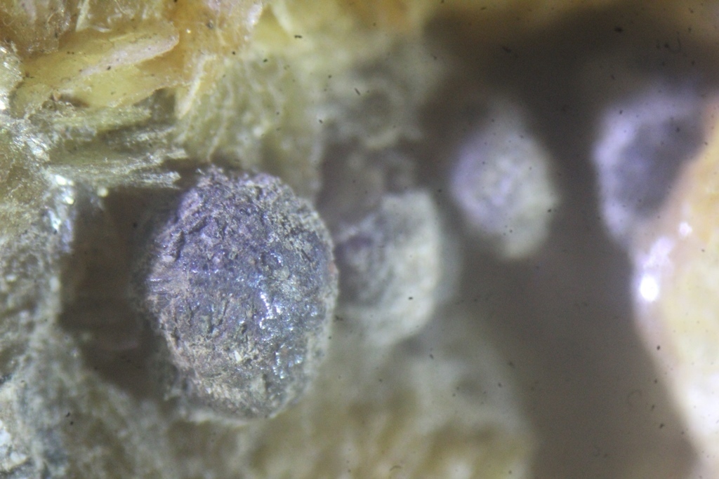 Caryopilite & Tinzenite