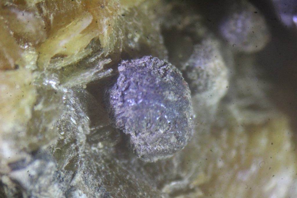 Caryopilite & Tinzenite