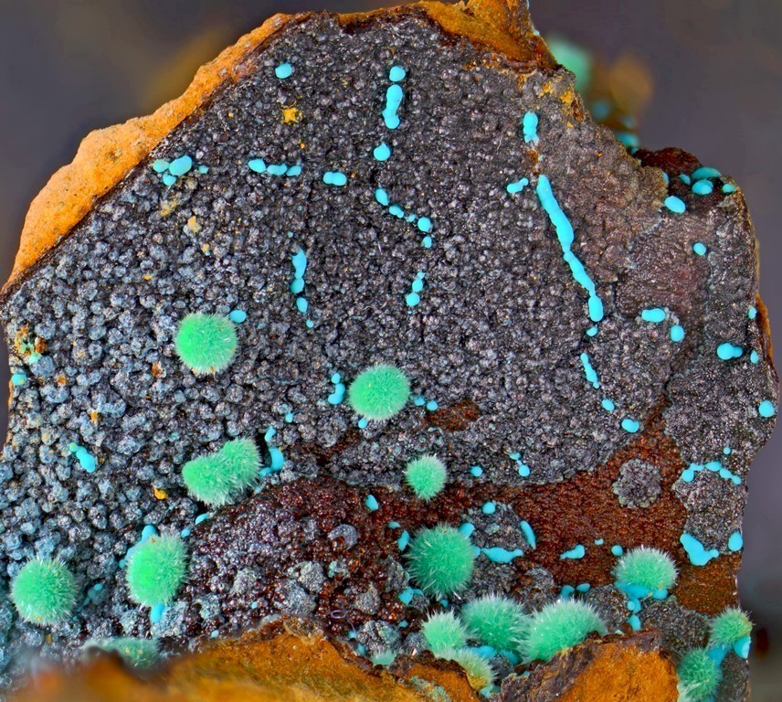 Marioantofilliite Malachite & Allophane