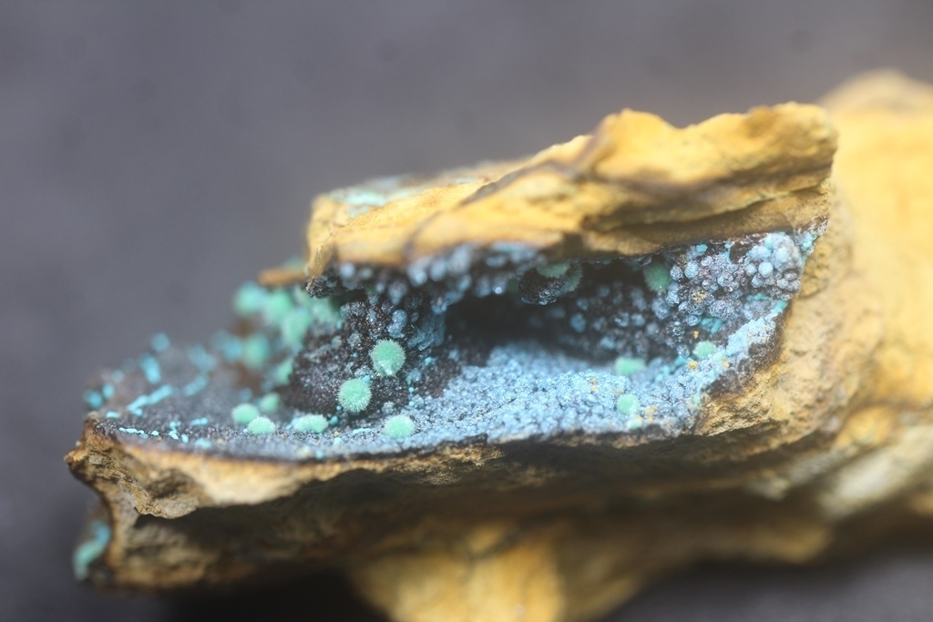Marioantofilliite Malachite & Allophane