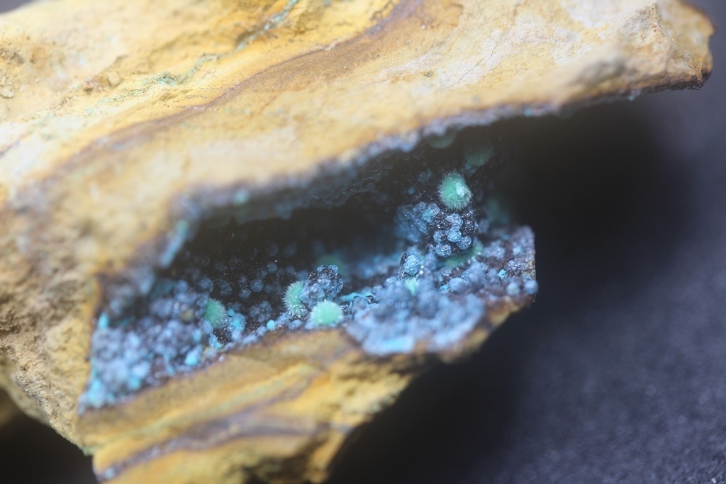 Marioantofilliite Malachite & Allophane