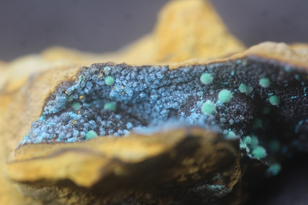 Marioantofilliite Malachite & Allophane