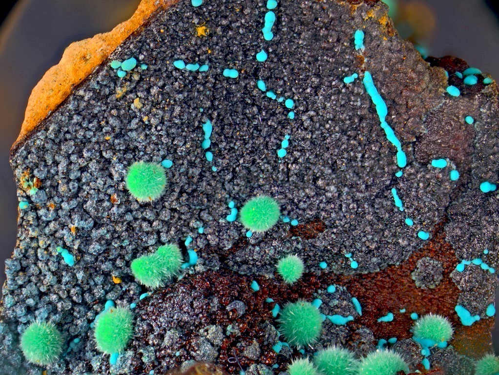 Marioantofilliite Malachite & Allophane