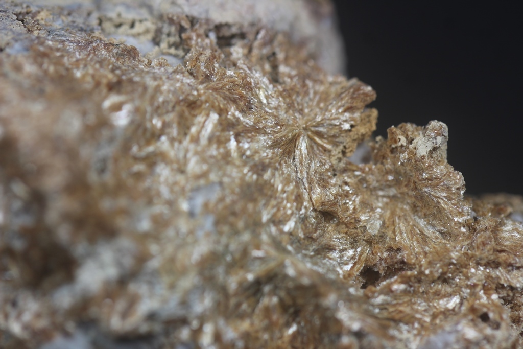 Ganophyllite