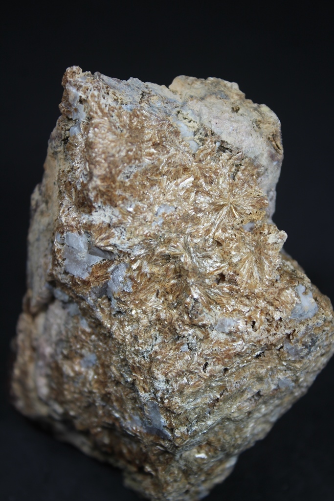 Ganophyllite
