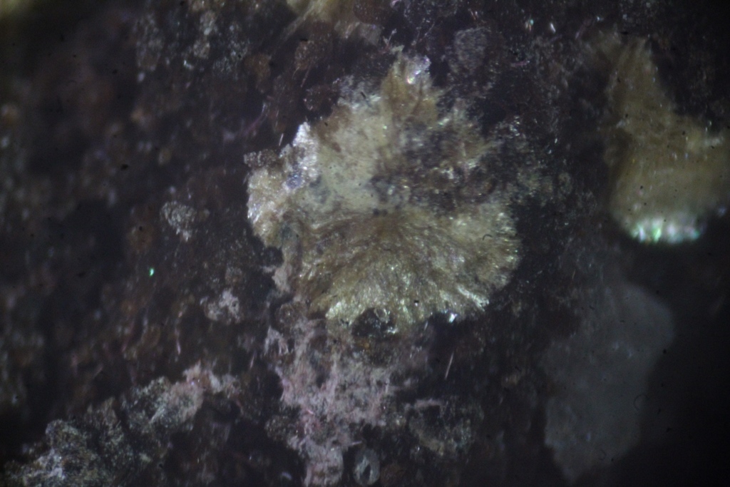 Piemontite Pennantite & Ganophyllite