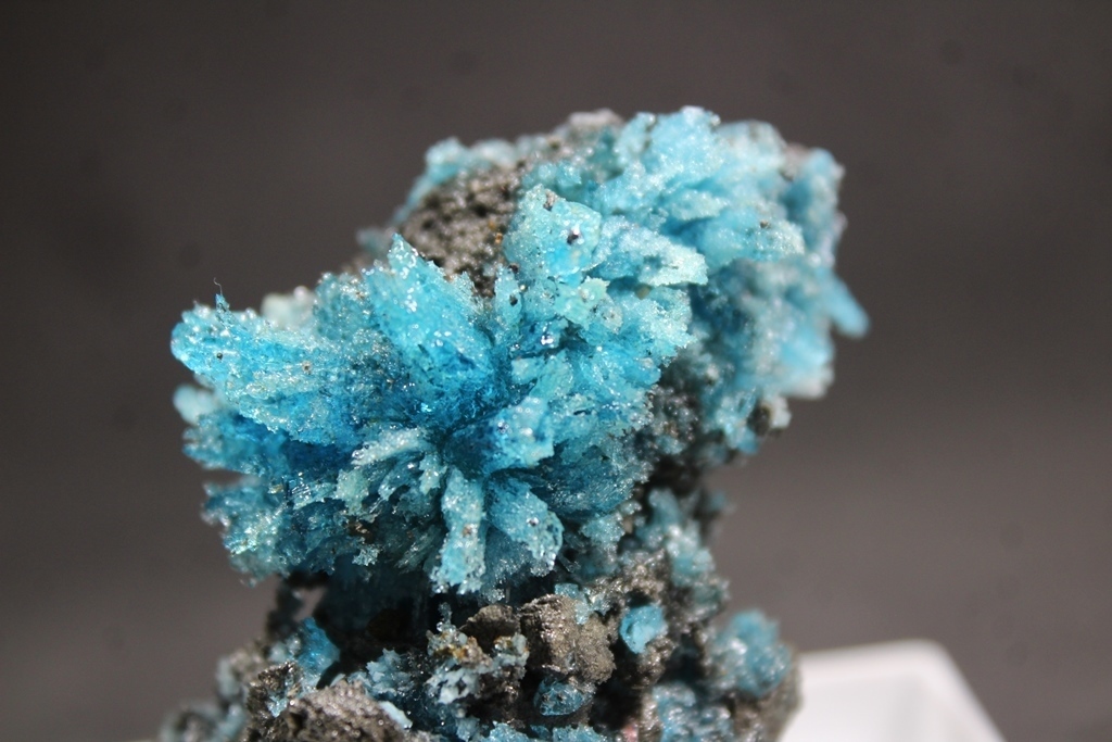 Chalcanthite