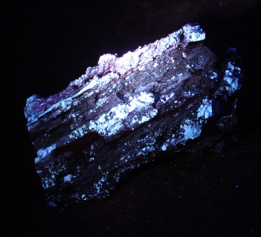 Chalcedony Psm Fossil Wood