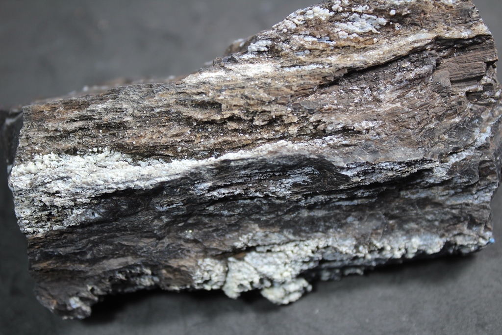 Chalcedony Psm Fossil Wood