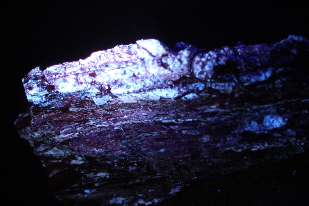 Chalcedony Psm Fossil Wood