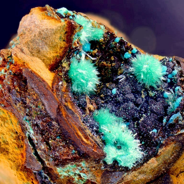 Marioantofilliite With Malachite & Allophane