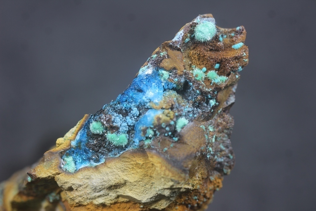Marioantofilliite With Malachite & Allophane