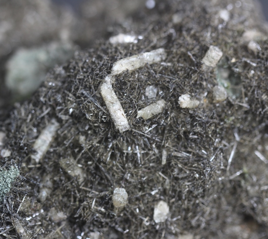 Actinolite & Apatite