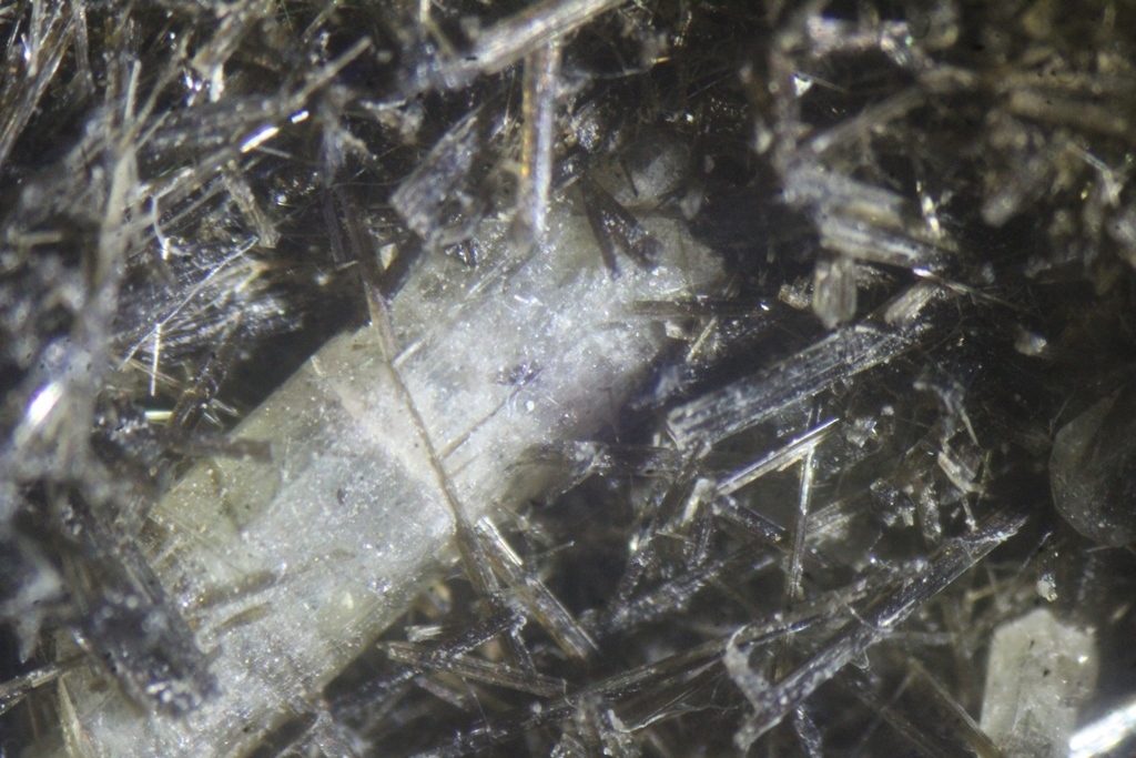 Actinolite & Apatite