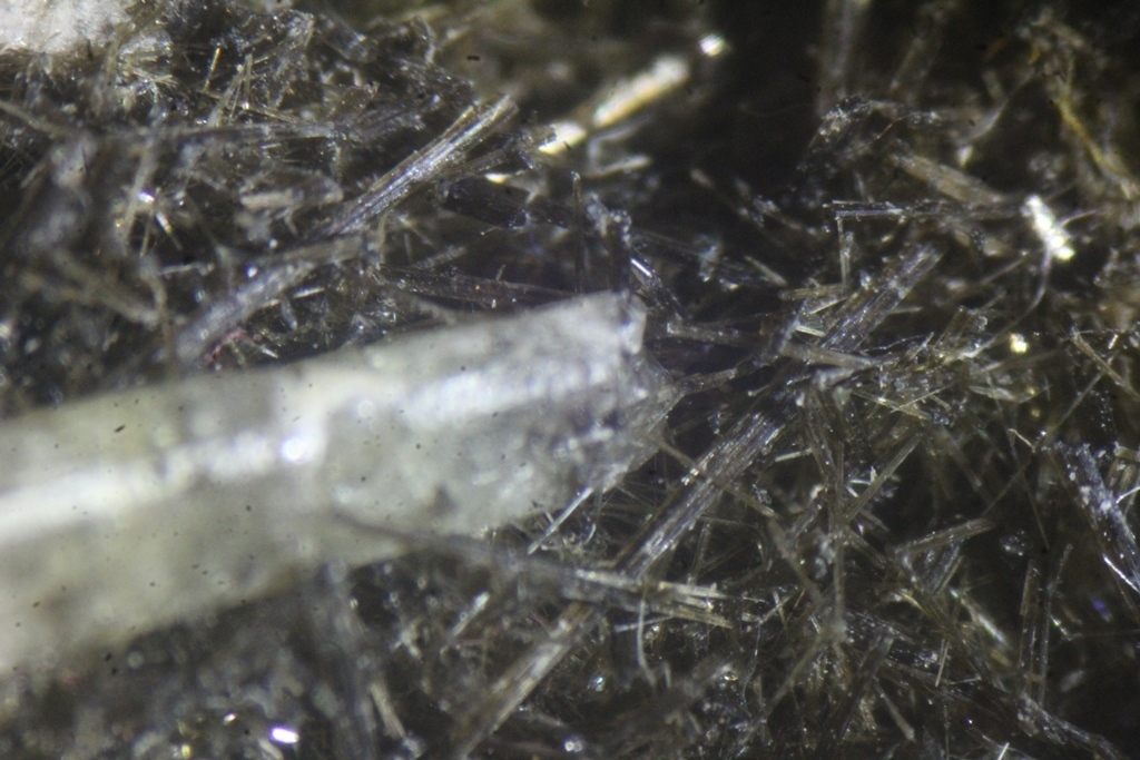 Actinolite & Apatite