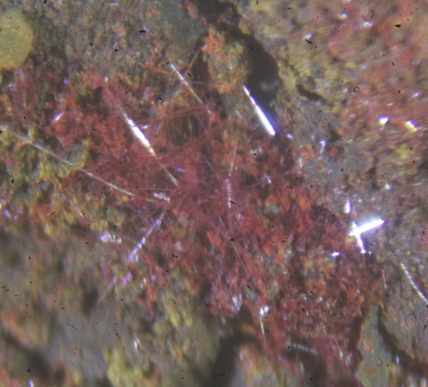 Cuprite Var Chalcotrichite