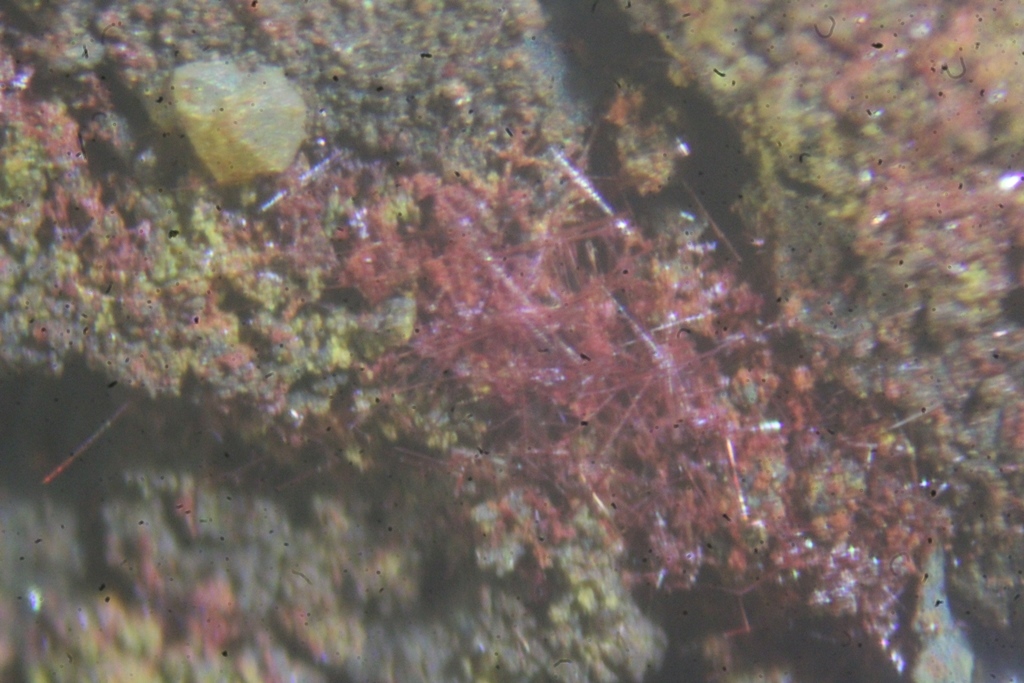 Cuprite Var Chalcotrichite