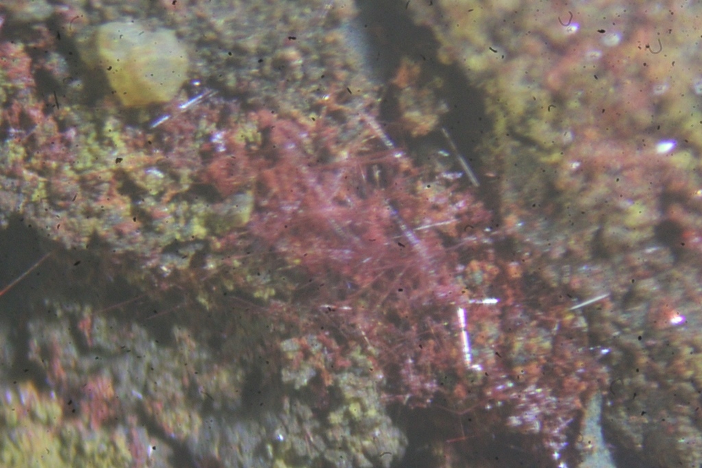 Cuprite Var Chalcotrichite