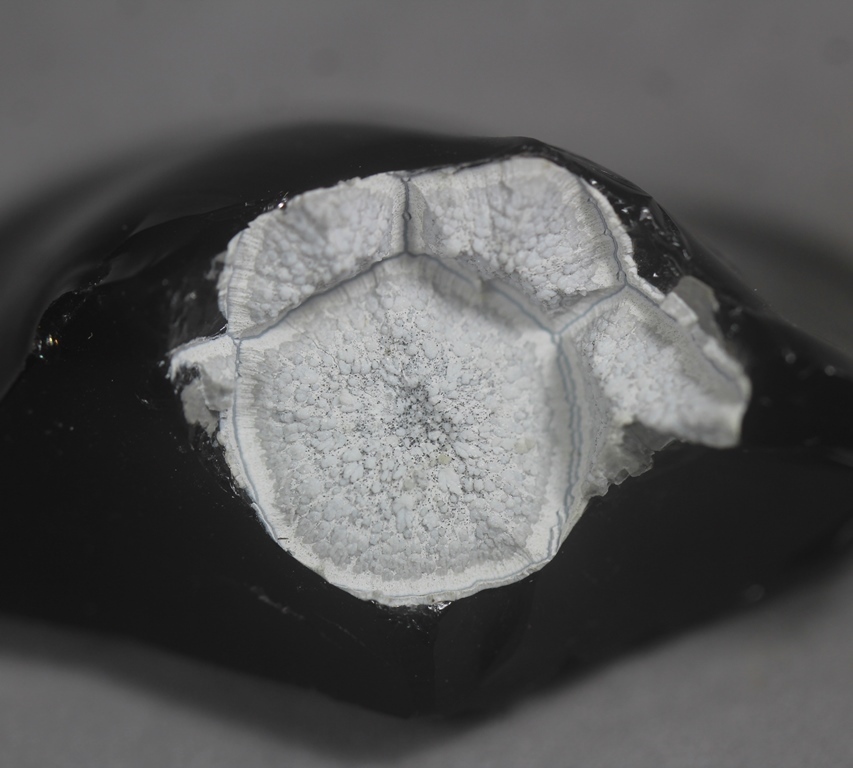 Fayalite Cristobalite In Obsidian