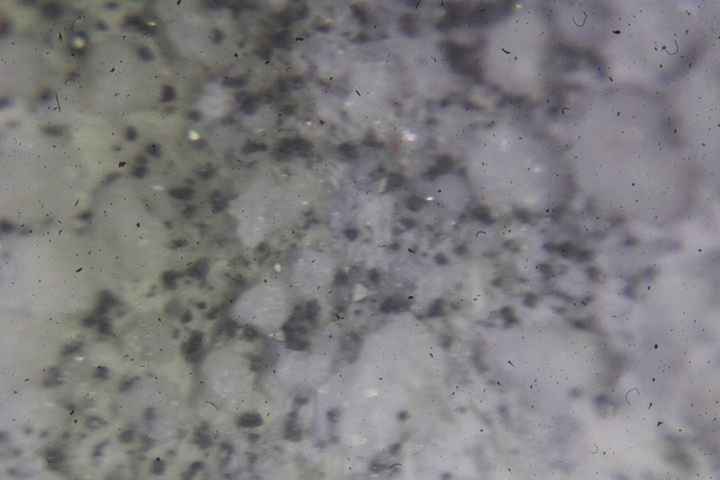 Fayalite Cristobalite In Obsidian