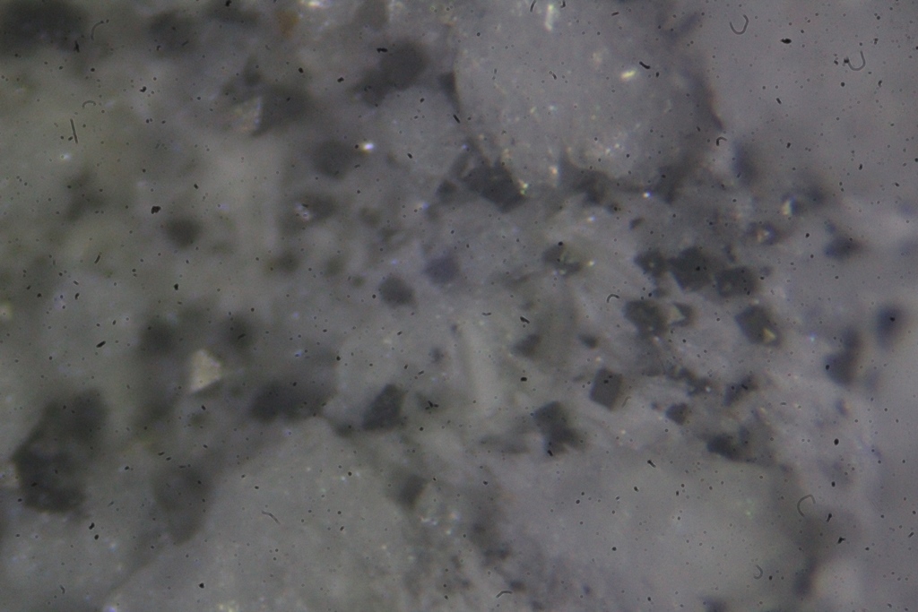 Fayalite Cristobalite In Obsidian