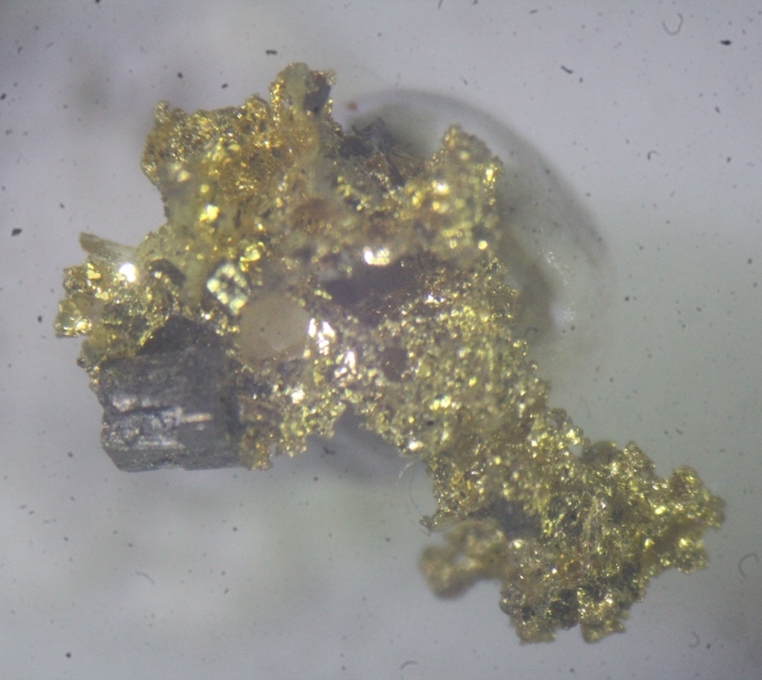 Gold With Pyrite