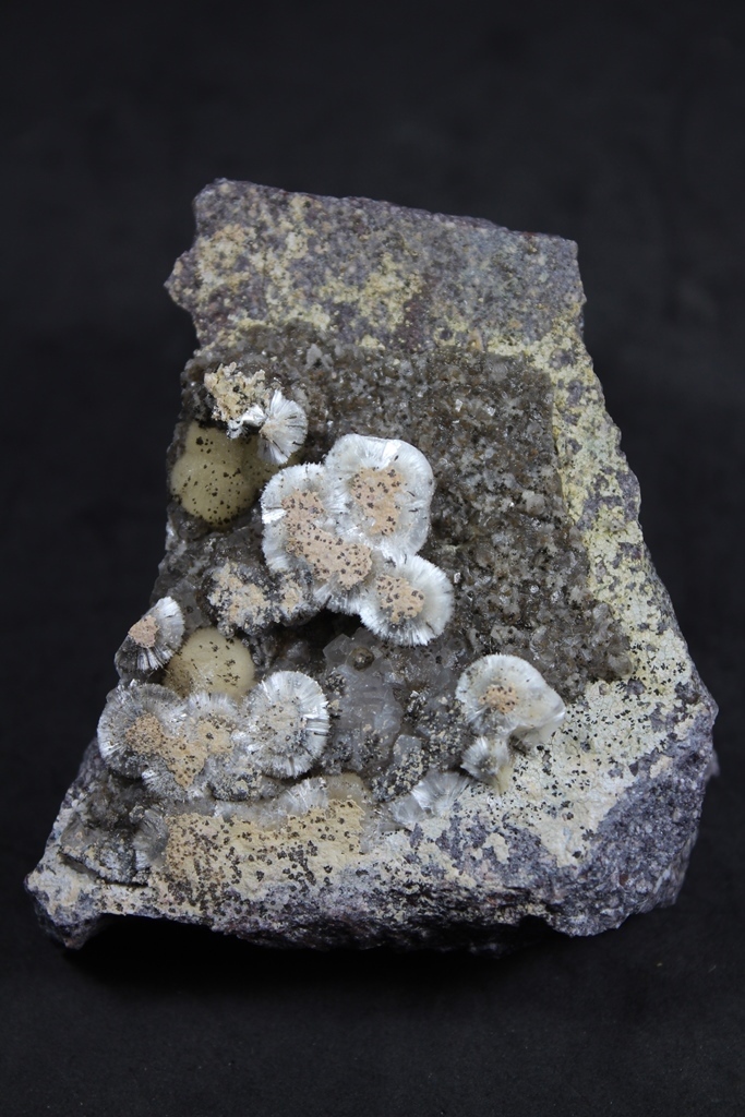 Ferrierite