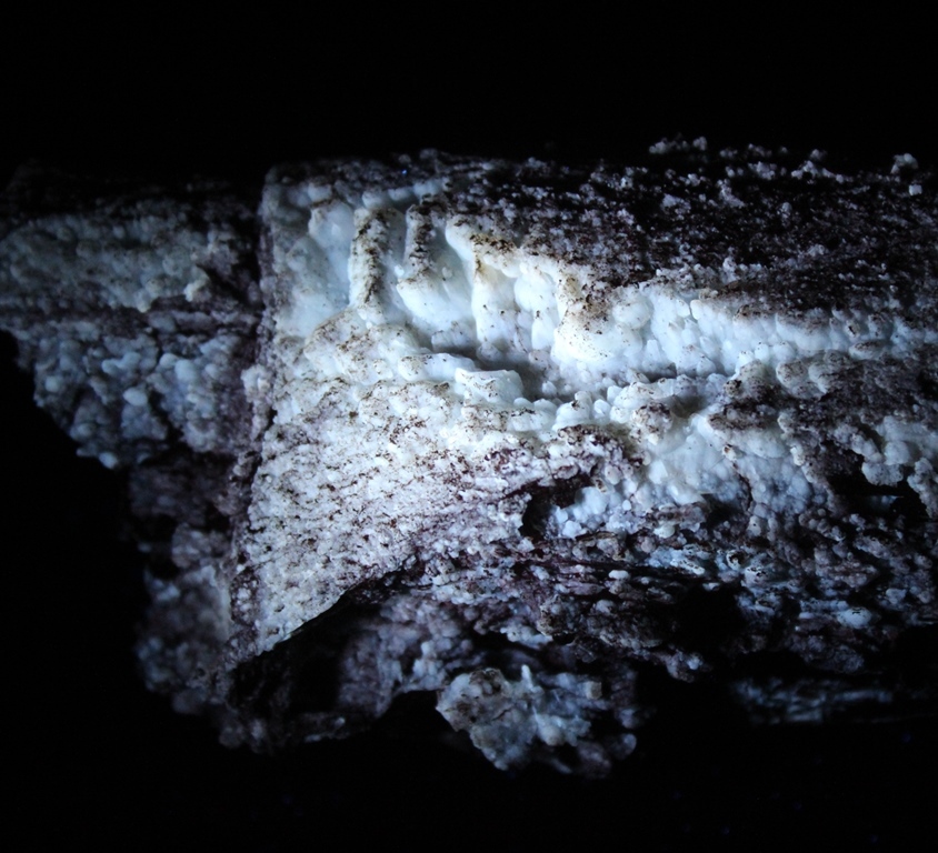 Chalcedony Psm Fossil Wood