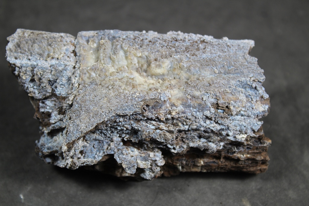 Chalcedony Psm Fossil Wood