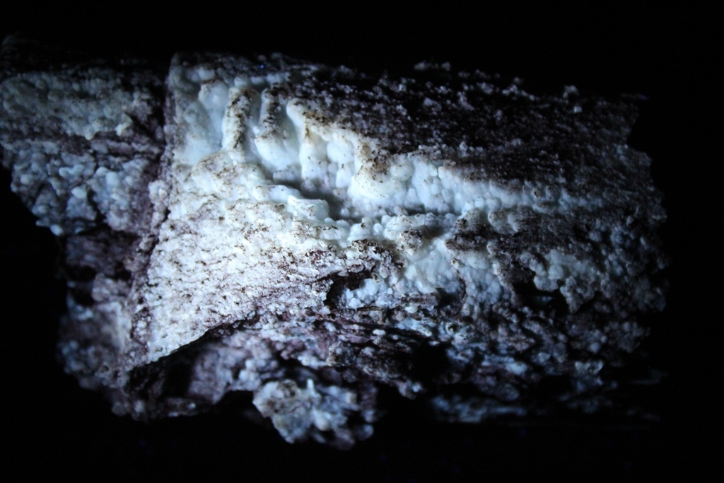 Chalcedony Psm Fossil Wood