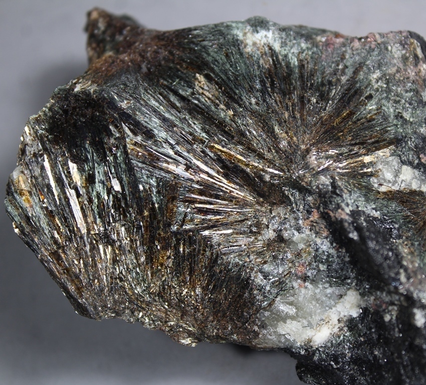 Astrophyllite