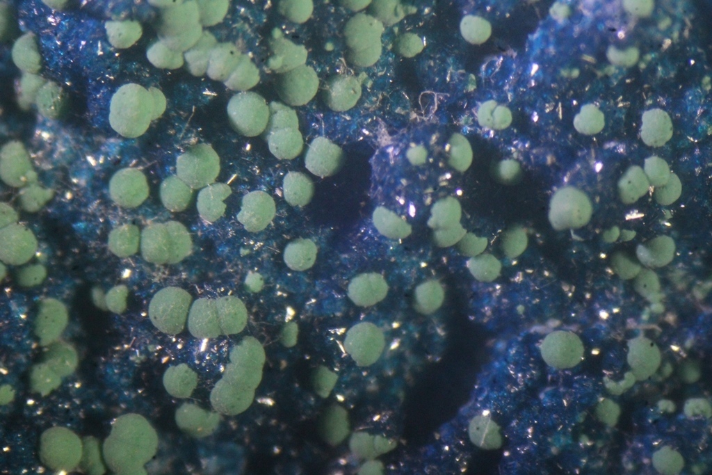 Cornetite With Malachite