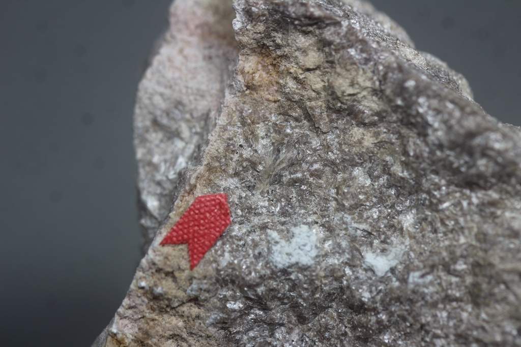 Bementite Ganophyllite With Rhodonite