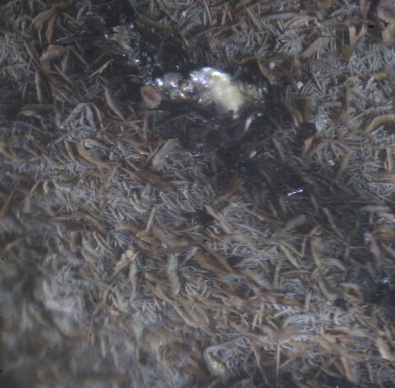 Pennantite & Ganophyllite