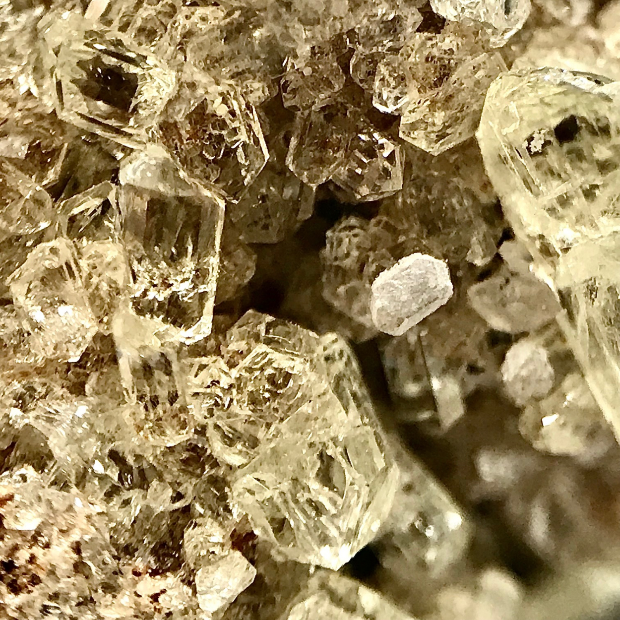 Fluorapatite
