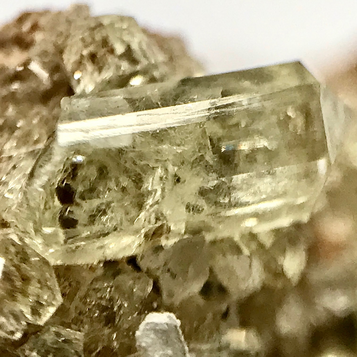 Fluorapatite