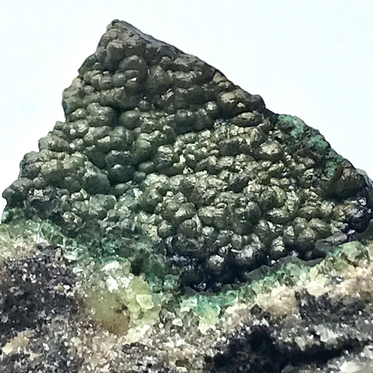 Tenorite