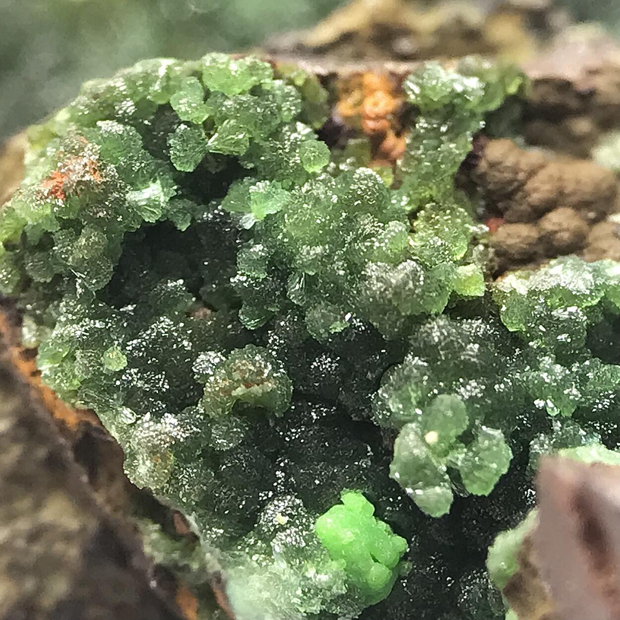 Adamite