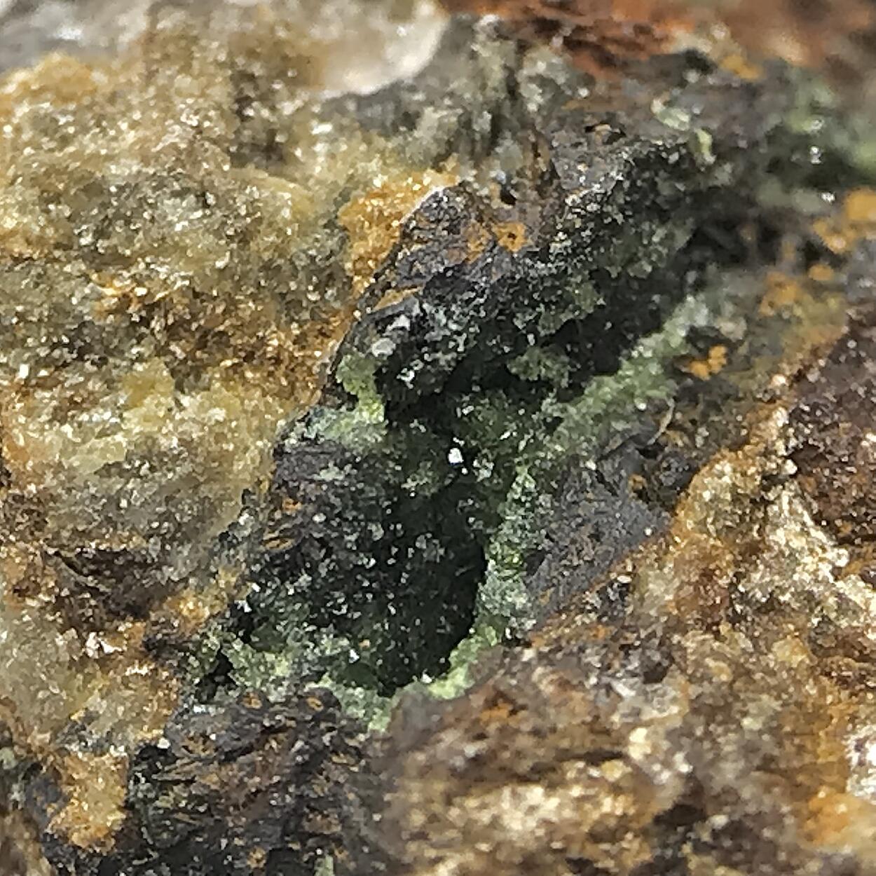 Pharmacosiderite