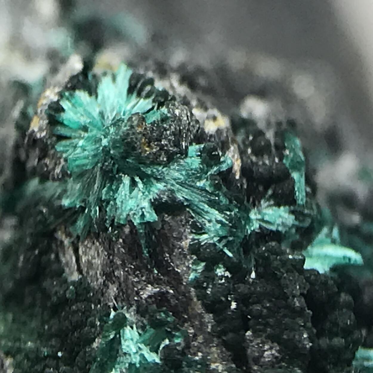 Brochantite