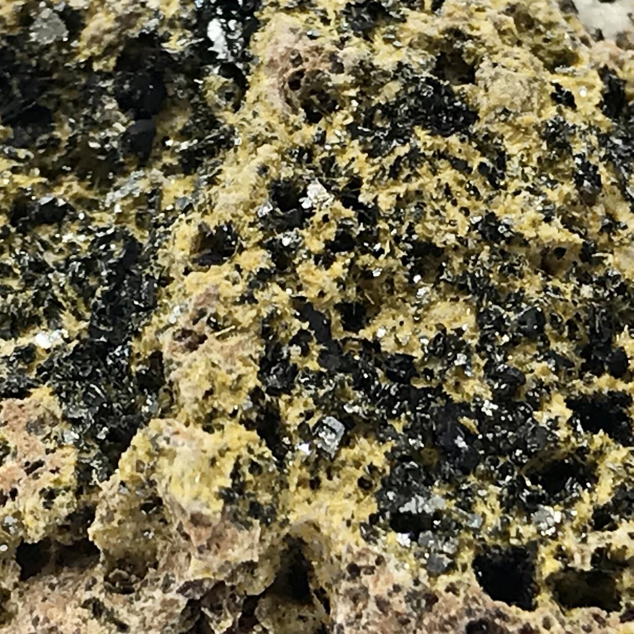 Fluoro-richterite