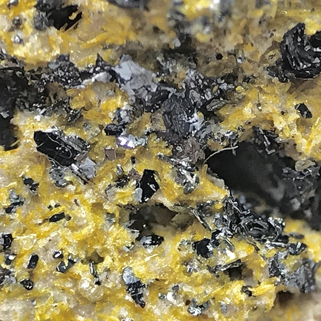 Fluoro-richterite