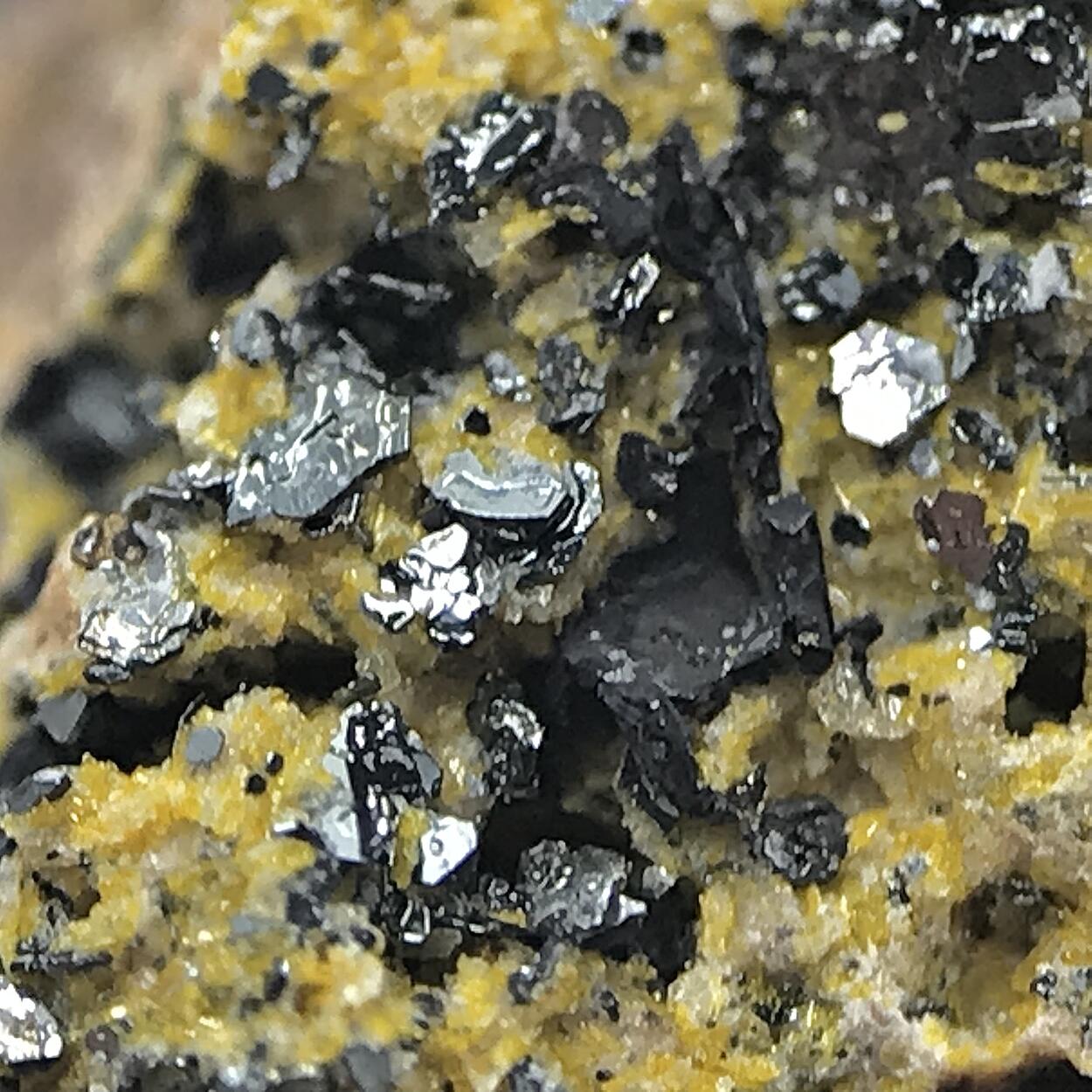 Fluoro-richterite