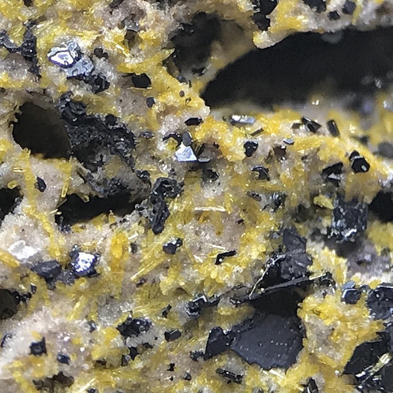 Fluoro-richterite