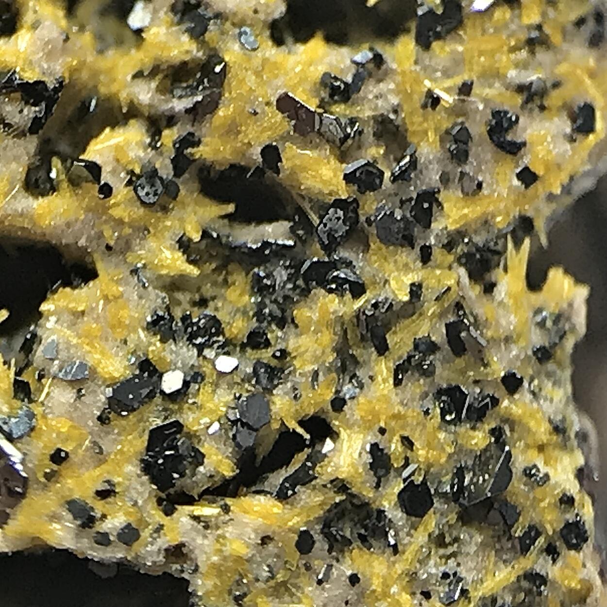 Fluoro-richterite